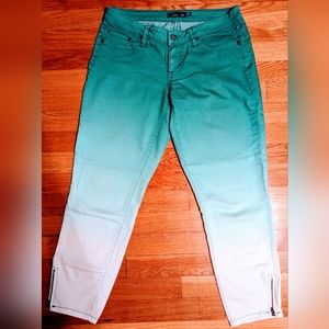 Green Ombre Prana Ankle Pants- Size 4